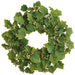 28" Seeded Solamum Leaf Silk Wreath -Green (Pack of 2) - PWS702-GR