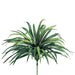 24" Dracaena Silk Plant -Green/Red (pack of 12) - PY8983-