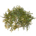 6" Baby's Tear Fern Leaf Artificial Pot Cover Stem -Green (pack of 12) - PZB635-GR