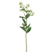 27" Silk Euphorbia Milkweed Flower Spray -Green/Variegated (pack of 12) - QSE906-GR/VG