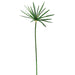 42" Silk Papyrus Grass Stem -Green (pack of 12) - QSG504-GR