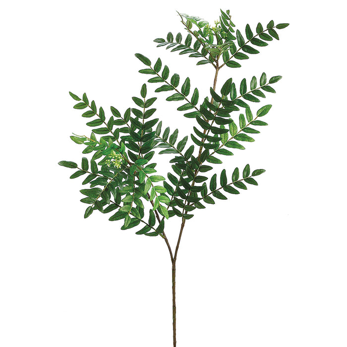 26" Silk Locust w/Berries Stem -Green (Pack of 12) - QSL402-GR