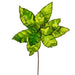 24"Hx13"W Sequin Velvet Artificial Poinsettia Flower Stem -Lime (Pack of 12) - RG221373