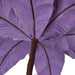 24"Hx13"W Sequin Velvet Artificial Poinsettia Flower Stem -Lavender (Pack of 12) - RG221386