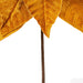 21.5"Hx18"W Artificial Poinsettia Flower Stem -Gold (Pack of 6) - RG233108