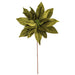 21.5"Hx18"W Artificial Poinsettia Flower Stem -Lime (Pack of 6) - RG233173