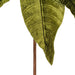 21.5"Hx18"W Artificial Poinsettia Flower Stem -Lime (Pack of 6) - RG233173