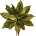 21.5"Hx18"W Artificial Poinsettia Flower Stem -Lime (Pack of 6) - RG233173