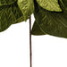 27.5"x24" Artificial Poinsettia Flower Stem -Green (Pack of 6) - RG237704