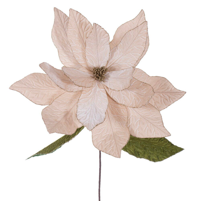 27.5"x24" Artificial Poinsettia Flower Stem -Champagne (Pack of 6) - RG237738