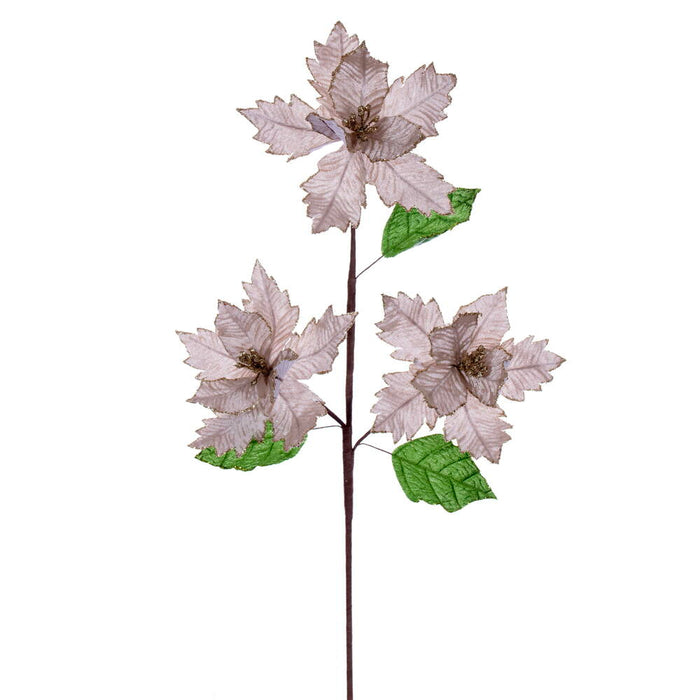 26"x6" Glittered Velvet Artificial Razor Poinsettia Flower Stem -Champagne (Pack of 12) - RG241738