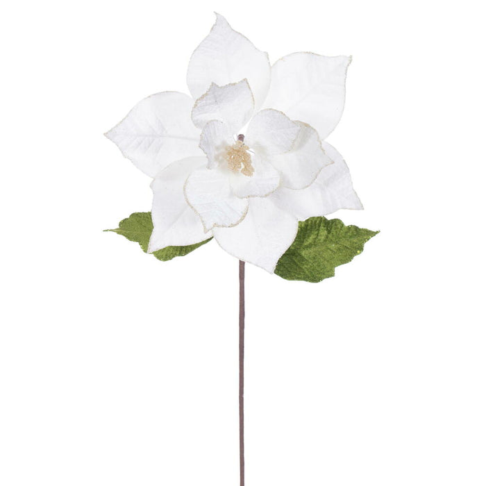 20"x12" Glittered Classic Velvet Artificial Poinsettia Flower Stem -Cream (Pack of 12) - RG242101