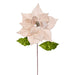 20"x12" Glittered Classic Velvet Artificial Poinsettia Flower Stem -Champagne (Pack of 12) - RG242138