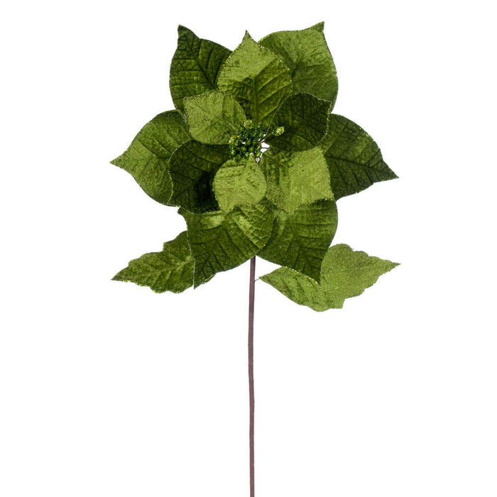 20"x12" Glittered Classic Velvet Artificial Poinsettia Flower Stem -Lime (Pack of 12) - RG242173