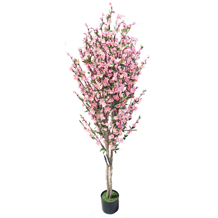 6' Cherry Blossom Silk Tree w/Pot -Pink/Cream - SAFB088TC-PK