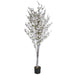 6' Cherry Blossom Silk Tree w/Pot -White/Blush - SAFB088TC-WH