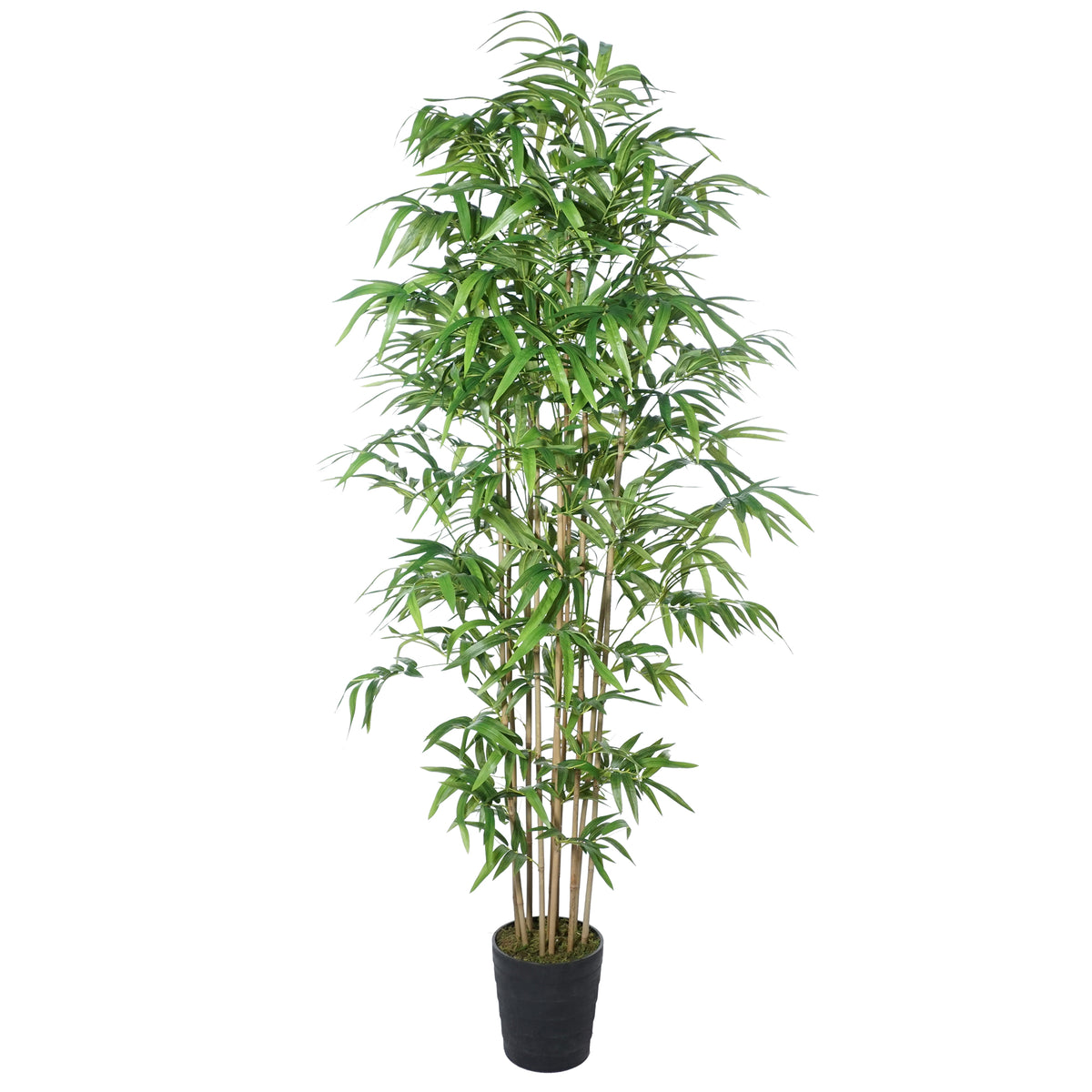 6'2" Natural Trunk Silk Bamboo Tree w/Pot Green Bamboo Trees — Silks