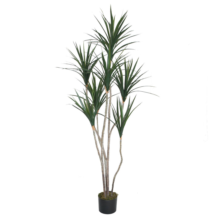 dracaena trunk 6'2" Multi Trunk Dracaena Silk Tree w/Pot -Green