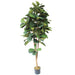 6' Fiddle Leaf Fig Silk Tree w/Pot -Green - SAFB165TIA6