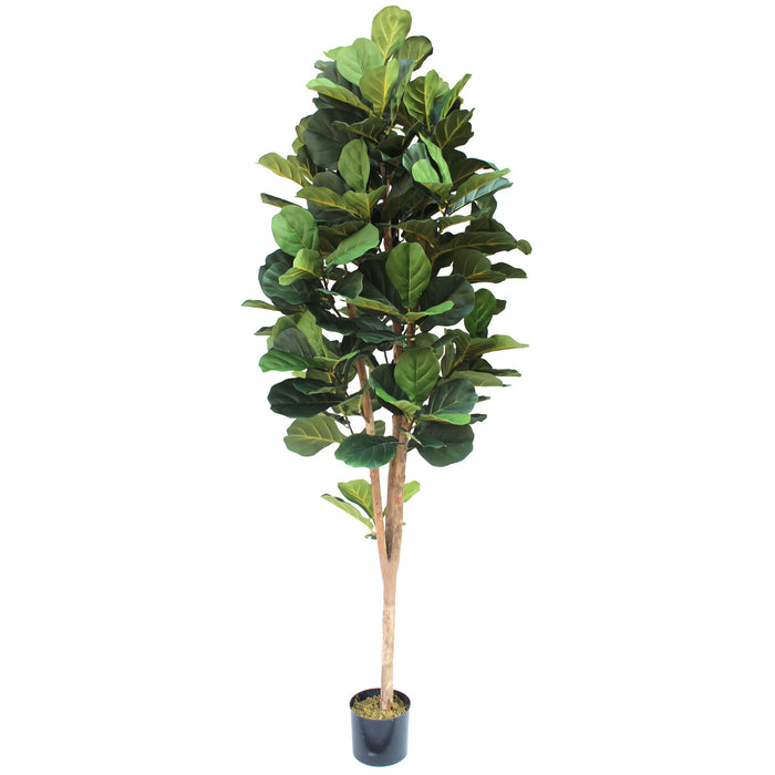 7' Natural Trunk Fiddle Leaf Fig Silk Tree w/Pot -Green - SAFB165TIB7