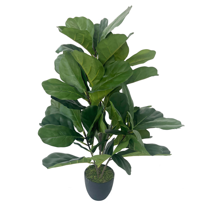 33" Multi Stem Silk Fiddle Leaf Fig Plant w/Pot -Green - SAFB165TS