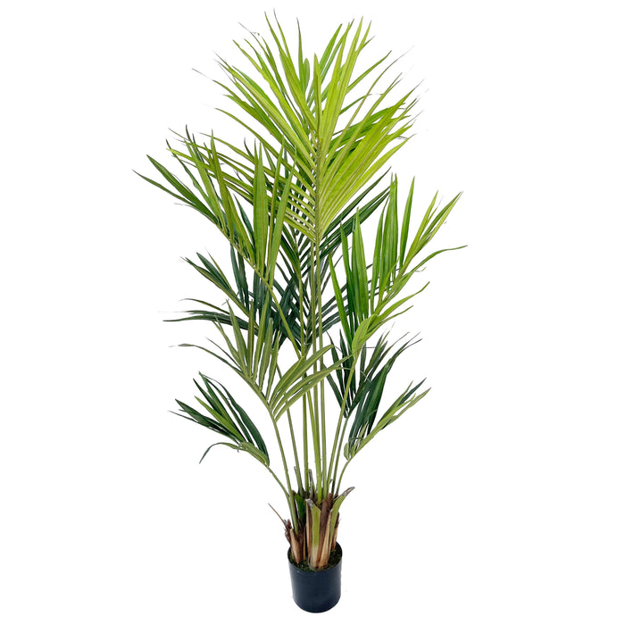 kentia palm house plant 6'4" Silk Kentia Palm Tree w/Pot -Green