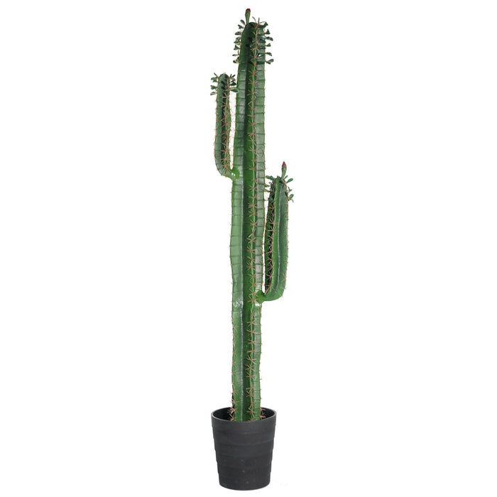 5' Column Cactus Artificial Plant w/Pot -Green - SAFB202TY