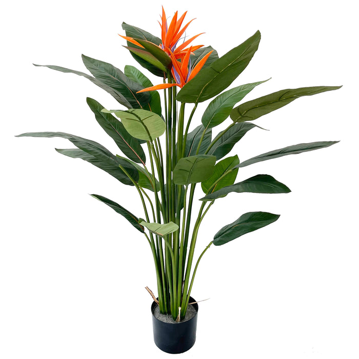 4'2" Bird Of Paradise Silk Plant w/Pot -Orange/Green - SAFB296TE