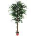 6'7" Ficus Silk Tree w/Pot -Green - SAFB313TB