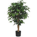 4'2" Ficus Silk Tree w/Pot -Green - SAFD317TG
