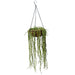 25" IFR UV-Proof Outdoor Artificial String Of Pearls Succulent Plant w/Hanging Basket -Green - SAFDLVS133