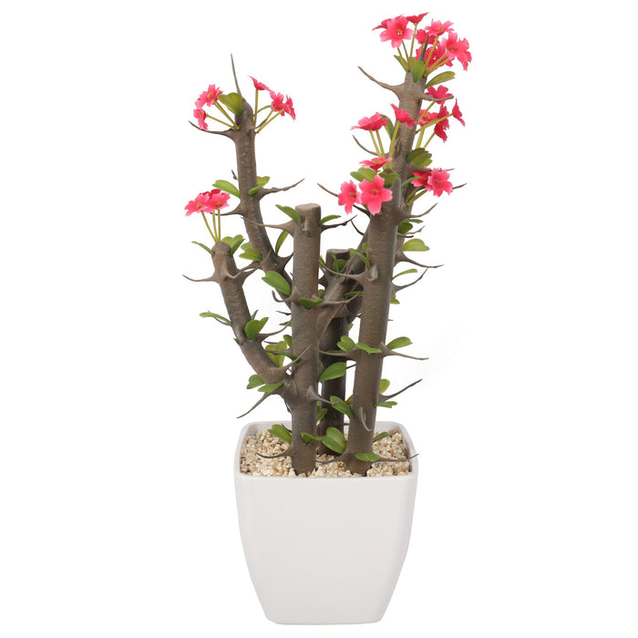 artificial potted cactus plants 14" Artificial Flowering Walking Stick Cholla Cactus Plant w/Pot — Silks Are Forever