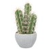10.5" Artificial Column Cactus Plant w/Pot -Green - SAFDYA3107