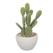 10" Artificial Prickly Pear Cactus Plant w/Pot -Green - SAFDYA3114