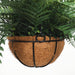 12" IFR UV-Proof Outdoor Artificial Mixed Boston Fern Plant w/Hanging Basket -Green - SAFDYFH14