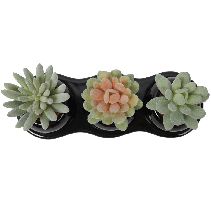 3.5"Hx8.75"W Assorted Succulent Artificial Plants w/Ceramic Pots & Tray -Green/Burgundy - SAFDYJT17A