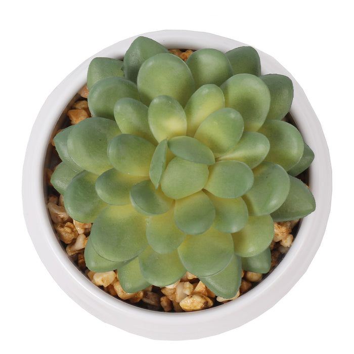 4" Set Of Assorted Succulent Artificial Plants w/Pots -Green/Burgundy - SAFDYJT1BCDE