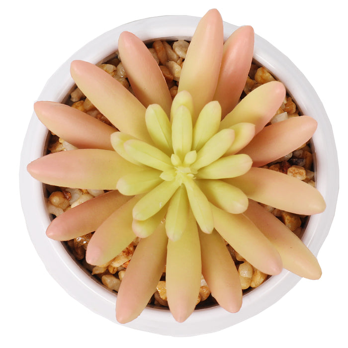 4" Set Of Assorted Succulent Artificial Plants w/Pots -Green/Burgundy - SAFDYJT1BCDE