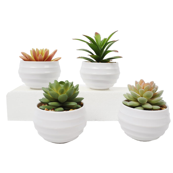 4" Set Of Assorted Succulent Artificial Plants w/Pots -Green/Burgundy - SAFDYJT1BCDE
