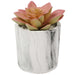 4.75" Set Of Assorted Succulent Artificial Plants w/Fake Marble Pots -Green/Burgundy - SAFDYJT8ABDG