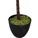 5'6" Real Touch Fiddle Leaf Fig Silk Tree w/Pot -34 Leaves -Green - SAFDYL3083