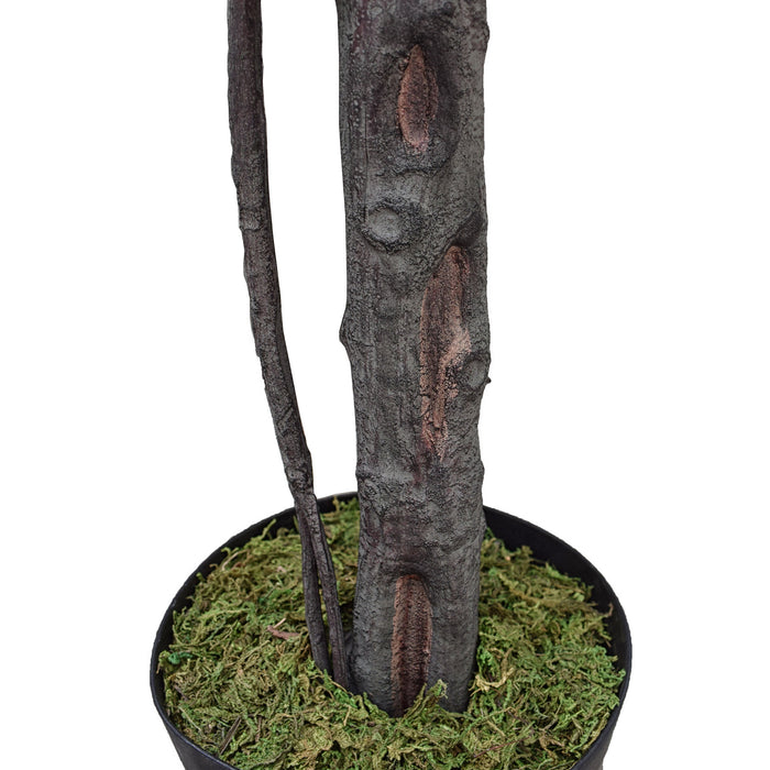 5'10" Real Touch Fiddle Leaf Fig Silk Tree w/Pot -77 Leaves -Green - SAFDYL3088