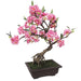 20"Hx12"W Silk Cherry Blossom Flowering Bonsai Tree w/Planter -Pink - SAFDYPA03-5PK
