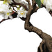 20"Hx12"W Silk Cherry Blossom Flowering Bonsai Tree w/Planter -White - SAFDYPA03-6WH