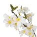 5' Silk Apple Blossom Flowering Tree w/Pot -White - SAFDYPA038-WH