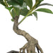18" Silk Money Leaf Bonsai Plant w/Planter -Green - SAFDYPA09