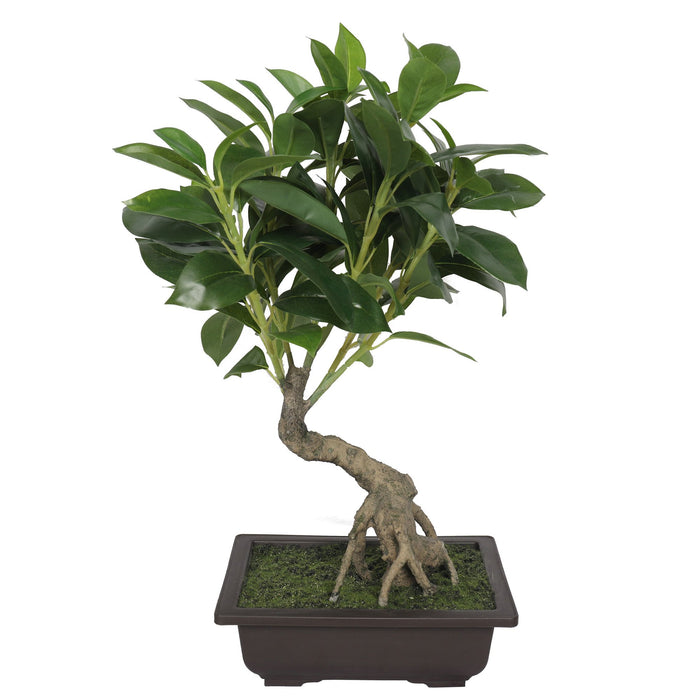 ficus money plant 18" Silk Money Leaf Bonsai Plant w/Planter -Green