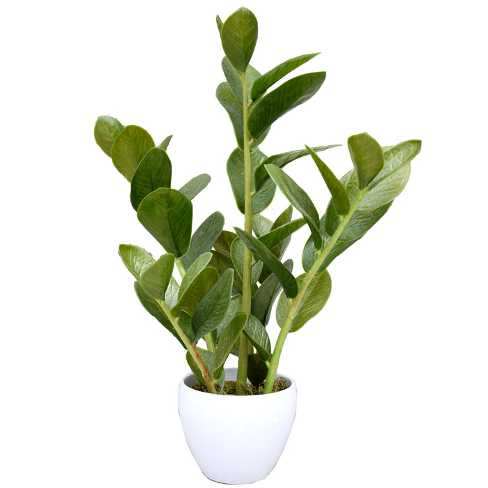 zanzibar succulent 22.5"Hx11"W Artificial Zanzibar Succulent Plant w/Cement Planter -Green
