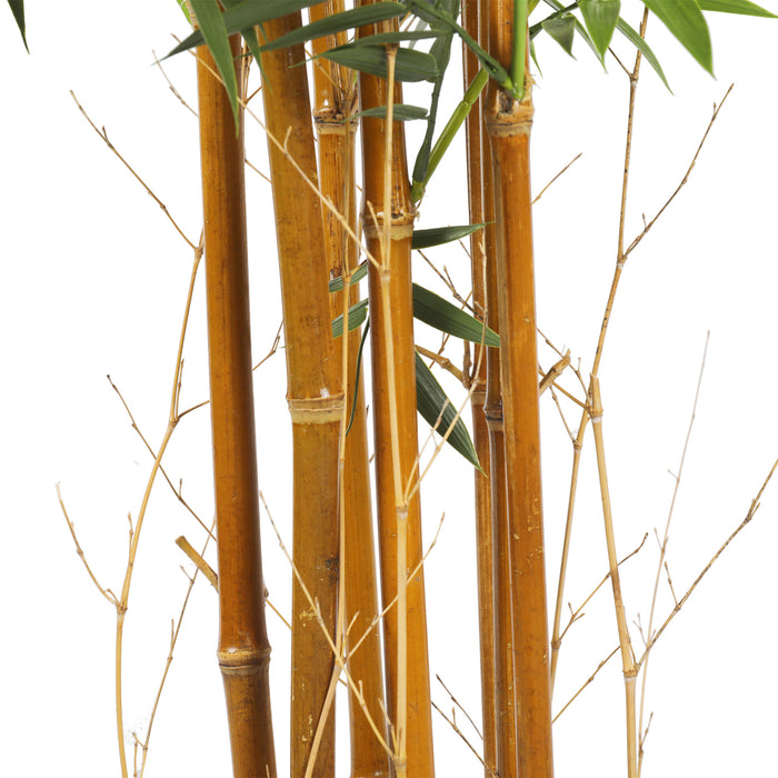 6' UV-Proof Outdoor Artificial Bamboo Tree w/Pot -Green - SAFTCF78