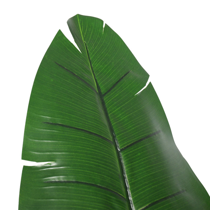 5'9" Triple Trunk Silk Travelers Palm Tree w/Pot -Green - SAFTCG49